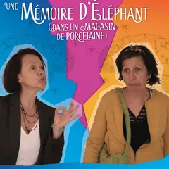 Une mémoire d'éléphant (dans un magasin de porcelaine)