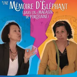 Une mémoire d'éléphant (dans un magasin de porcelaine)