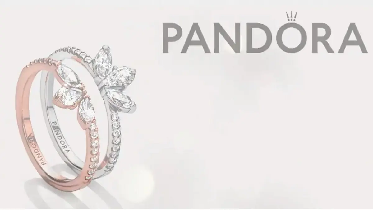 Une nouvelle boutique Pandora vient d'ouvrir au Westfield Confluence de Lyon et d'autres enseignes devraient suivre très prochainement