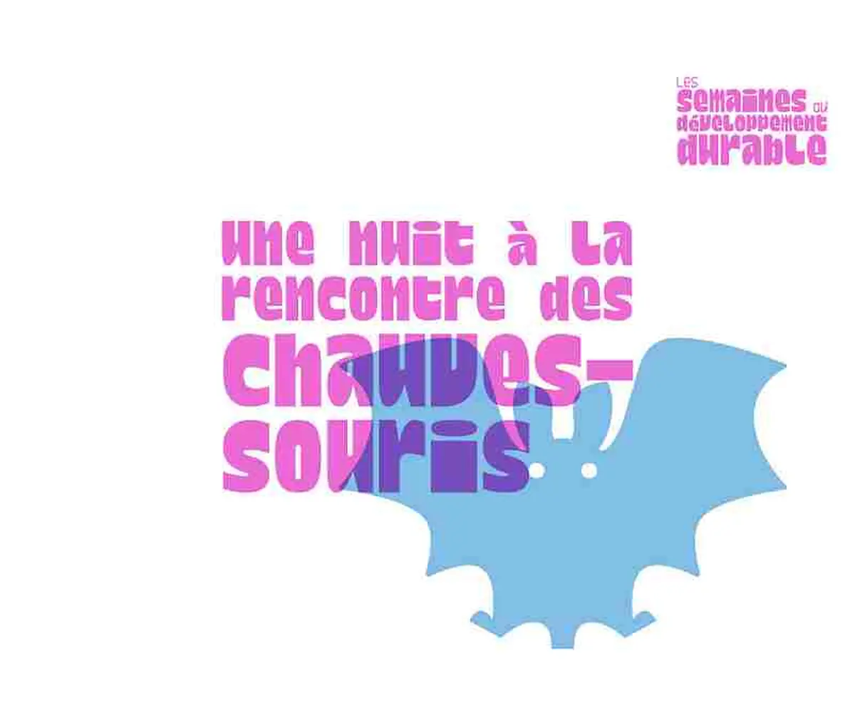 Une nuit à la rencontre des chauves-souris