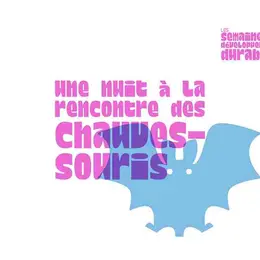 Une nuit à la rencontre des chauves-souris