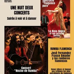 Une nuit, deux concerts