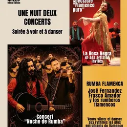 Une nuit, deux concerts