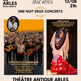 Une nuit magique au Théâtre Antique d'Arles : Hommage à José Reyes