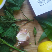 Une plante et ses usages : Les jeunes feuilles d’ortie