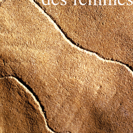 Une préhistoire des femmes : la domination masculine existait-elle déjà à la Préhistoire ?