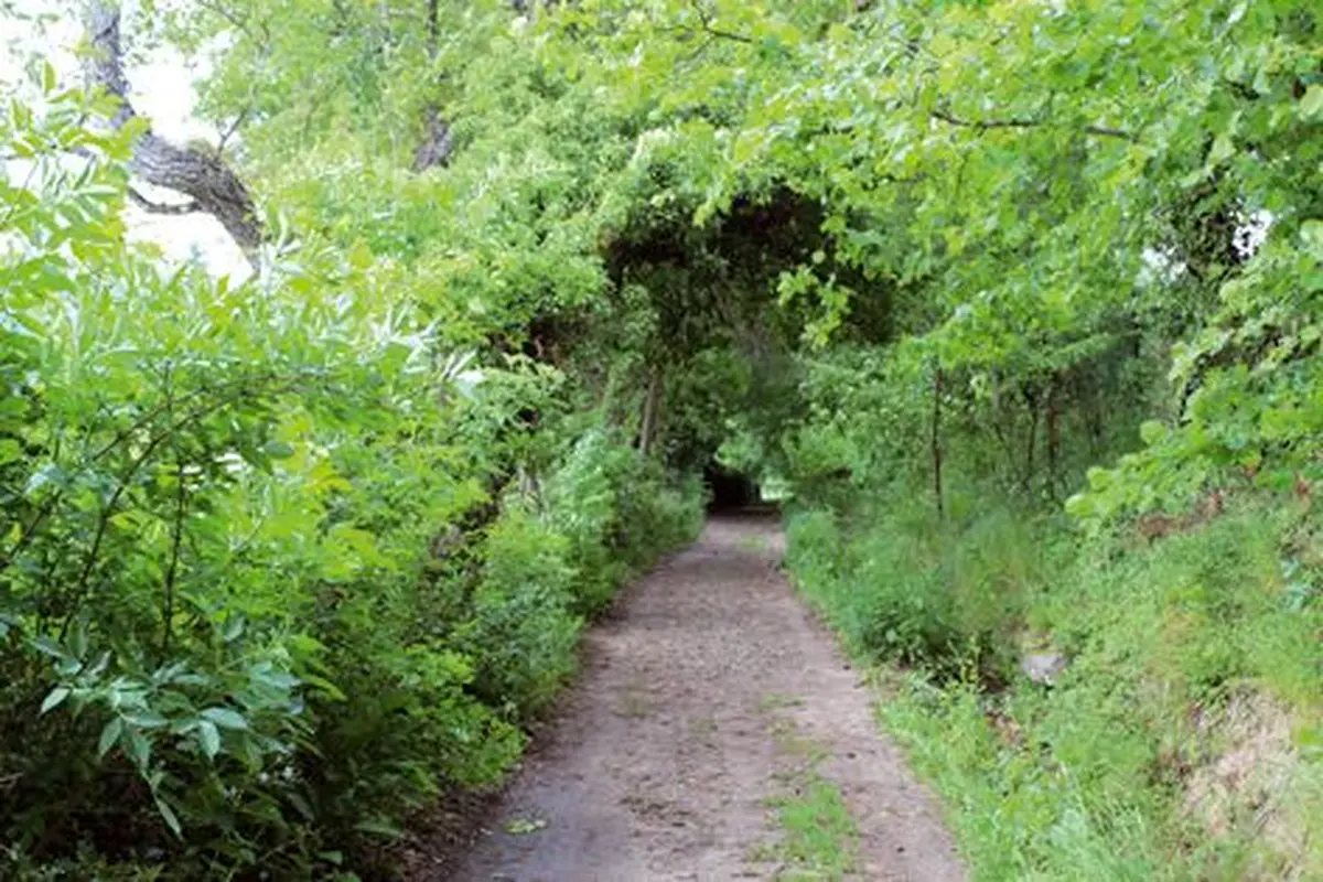 Une randonnée bucolique au départ de Schweighouse
