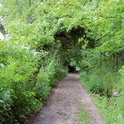 Escapade dans le Florival 