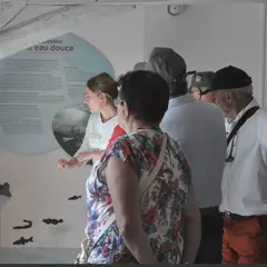 Une soirée au musée