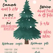 Une vente solidaire de sapins de Noël à Saint-Félix
