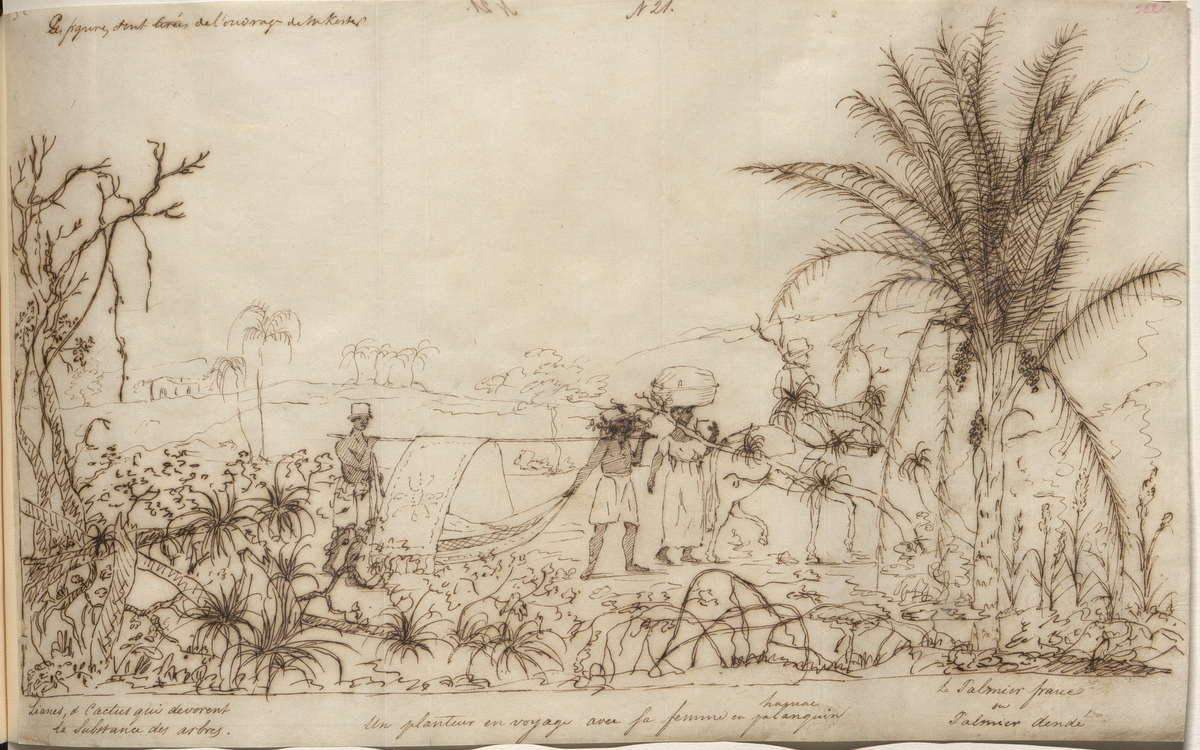 Une vie de lettré : découvrez Ferdinand Denis, administrateur de la bibliothèque Sainte-Geneviève