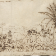 Une vie de lettré : découvrez Ferdinand Denis, administrateur de la bibliothèque Sainte-Geneviève