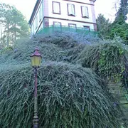 Escapade au Rebberg, le Mulhouse des riches industriels