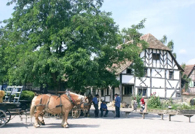 L\'Ecomusée d\'Alsace, un site qui fait revivre le patrimoine et les traditions d\'antan