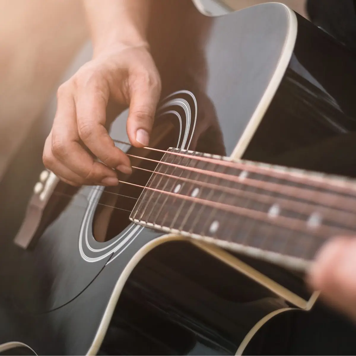 Le Tremplin V and B Fest' 2026 et le programme Pulsar