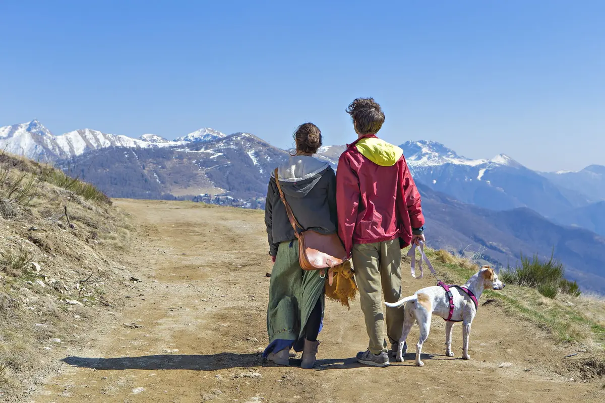 Vacances avec son chien en France : Rover dévoile les 7 meilleures régions dog-friendly pour l'été 2026