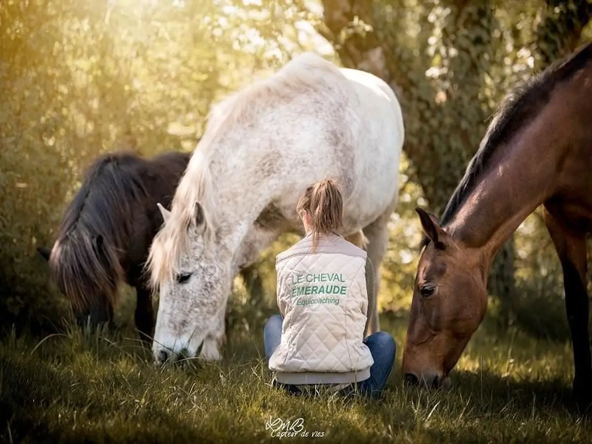 Vacances d'été au Cheval Emeraude