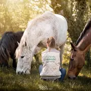 Vacances d'été au Cheval Emeraude