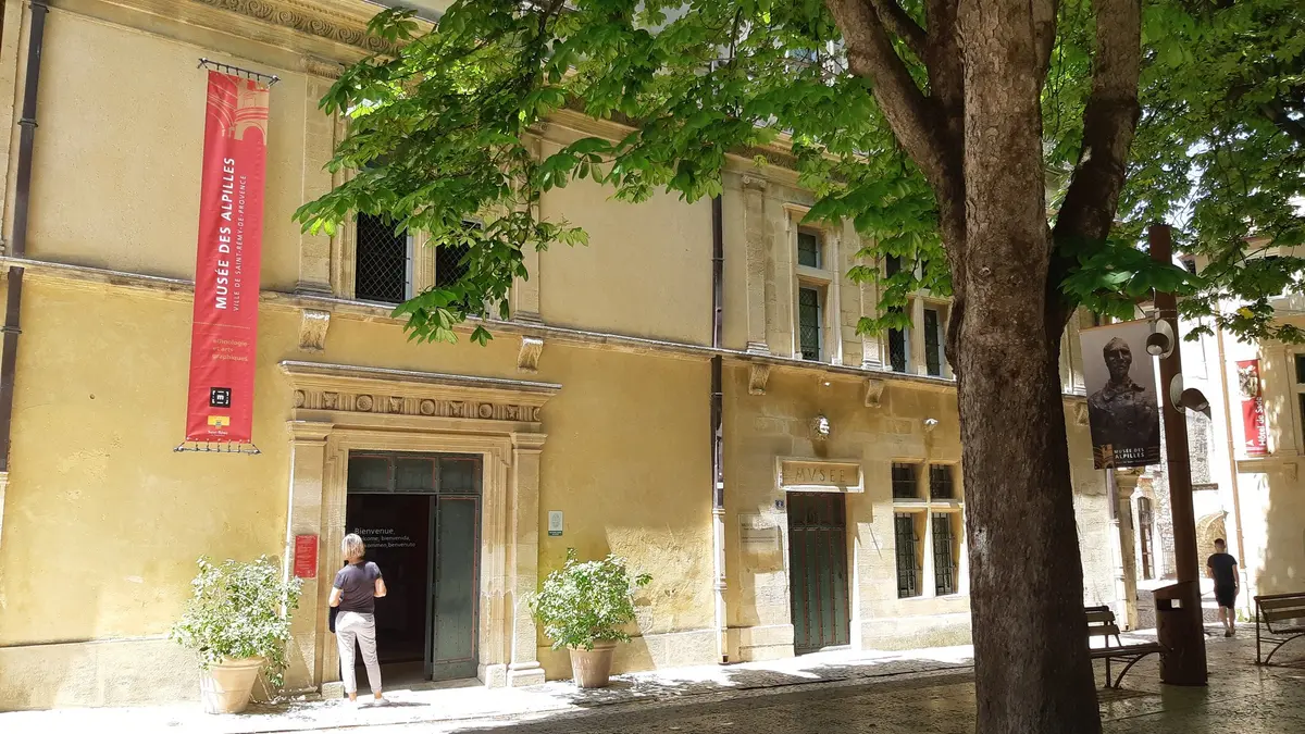 Vacances d'été au Musée des Alpilles