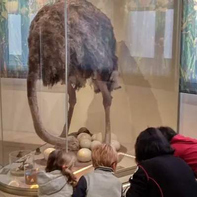 Vacances de février : nos meilleures sorties avec les enfants