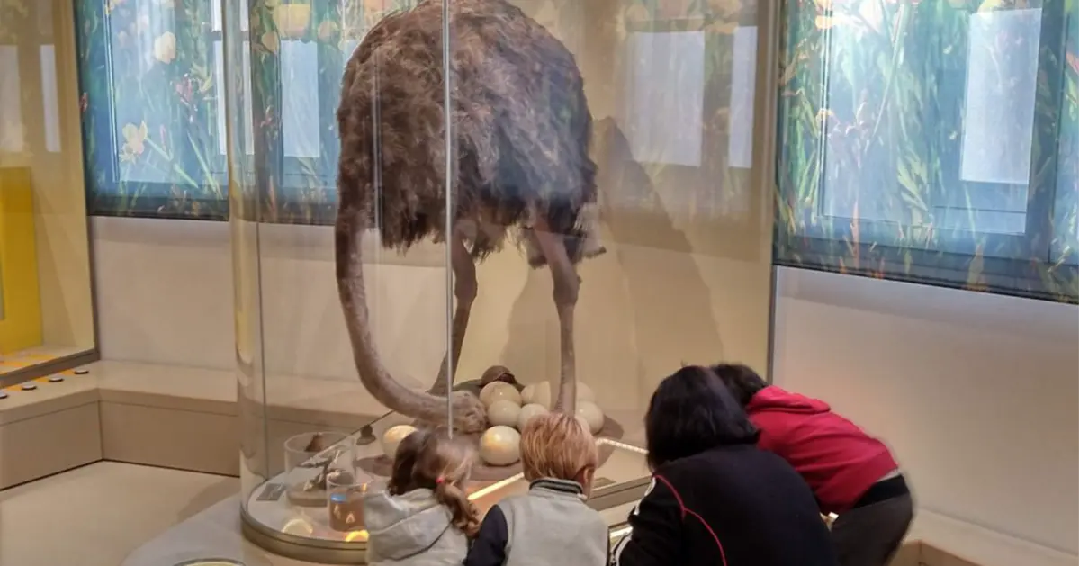 Vacances de f&eacute;vrier &agrave; Bordeaux : nos meilleures sorties avec les enfants