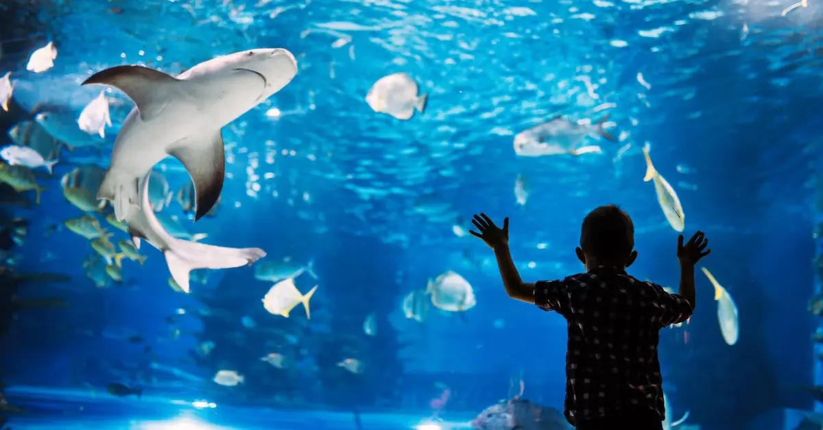 Vacances de f&eacute;vrier &agrave; Lyon : nos meilleures sorties avec les enfants