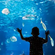 Vacances de février à Lyon : nos meilleures sorties avec les enfants