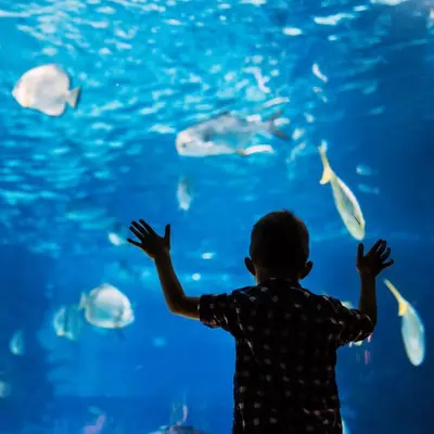 Vacances de février : nos meilleures sorties avec les enfants