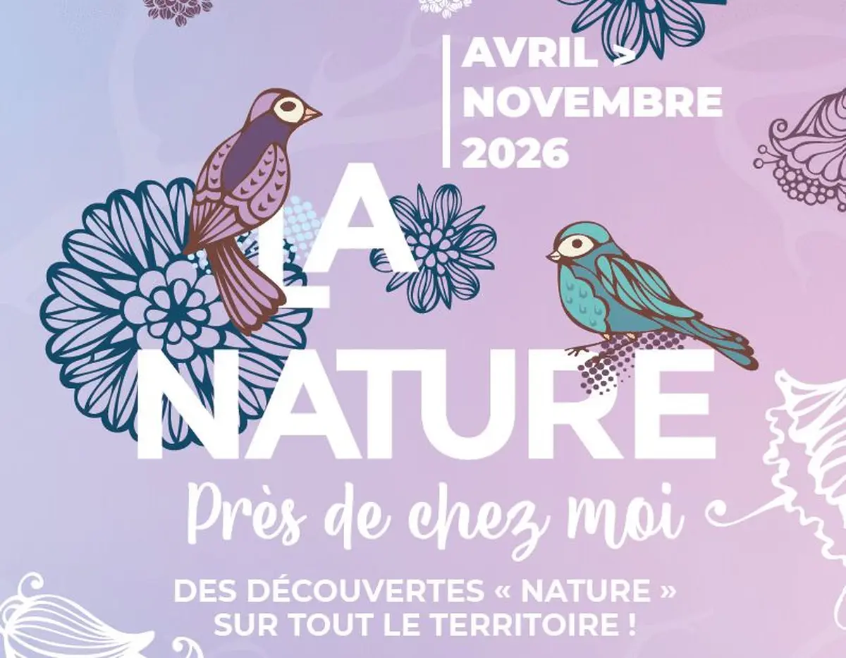 Vacances de la Toussaint : les sorties nature gratuites à faire autour de Mulhouse
