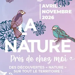 Vacances de la Toussaint : les sorties nature gratuites à faire autour de Mulhouse