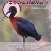 Vacances de Pâques au Parc Ornithologique de Pont de Gau