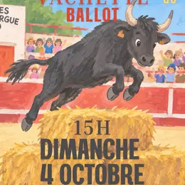 Vachette Ballot
