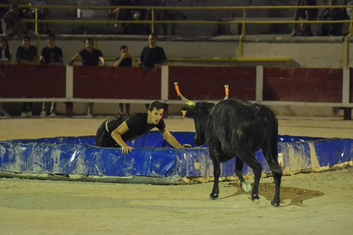 Vachette Piscine - Club Taurin L'Abrivado