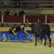 Vachette Piscine - Club Taurin L'Abrivado