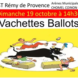 Vachettes Ballots