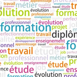 Guide pratique de la Validation des Acquis de l'Expérience (VAE)