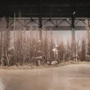 5 oeuvres d'artistes perchés à Art Basel !