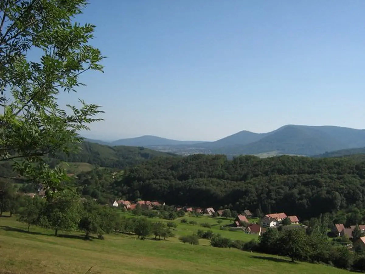 Vue depuis les hauteurs de Breitenbach dans le Val de Villé