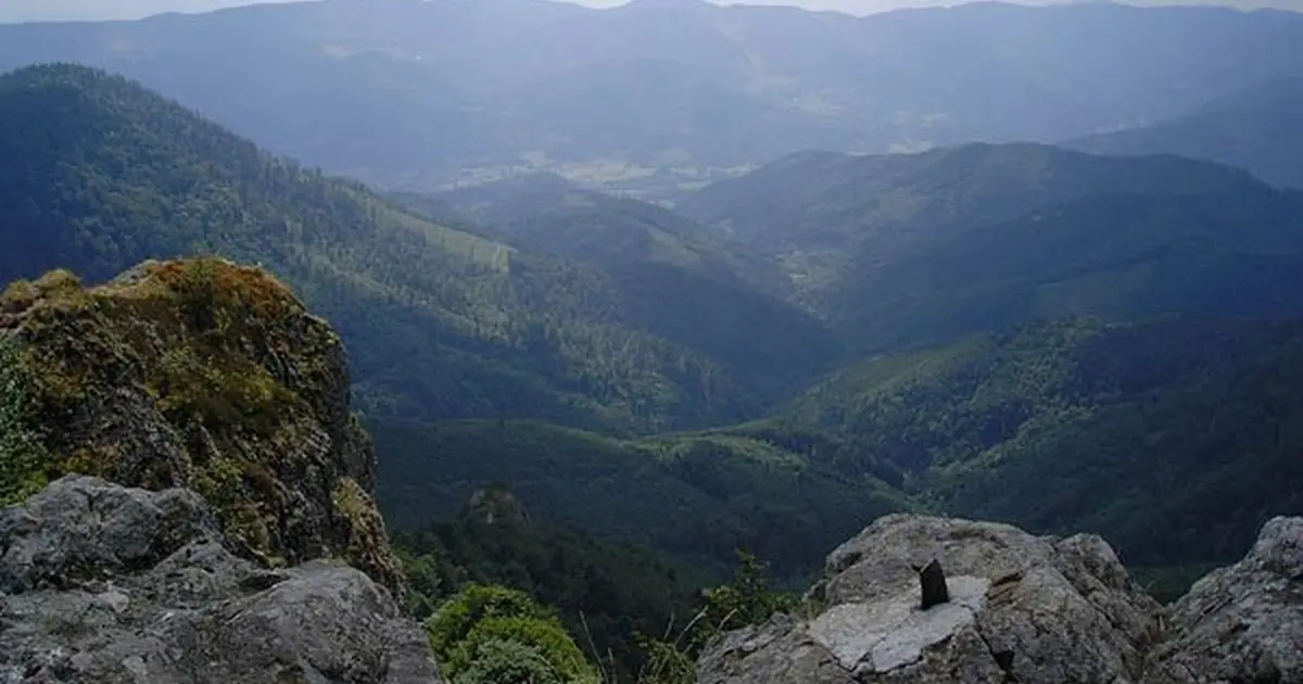 Vue sur la Vallée de la Doller