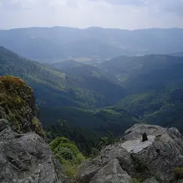 Vallée de la Doller