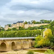 Vallée de la Loire : Visite guidée des vignobles de Chinon et Bourgueil depuis Tours + dégustation de vins