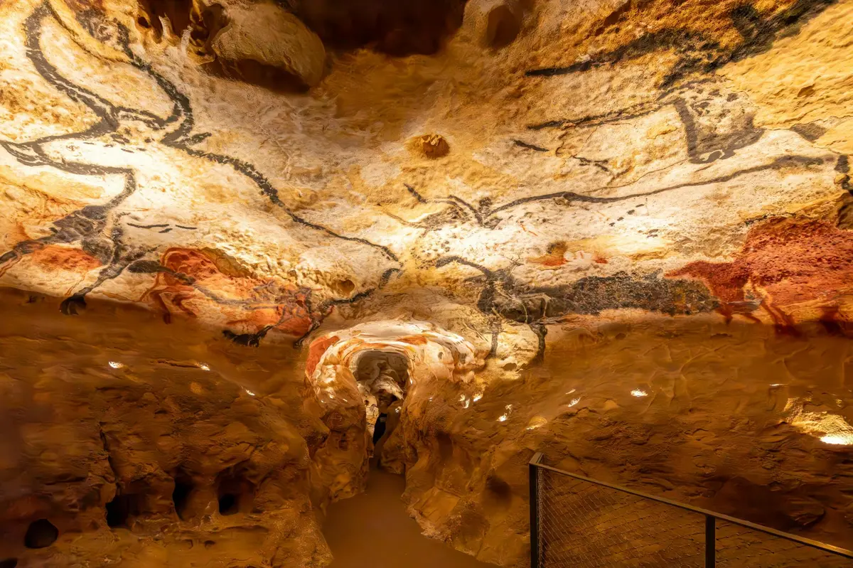 Un intérieur de grotte avec des peintures préhistoriques d'animaux sur les murs et le plafond, éclairé par un éclairage artificiel.