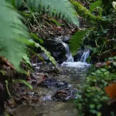 Vallée du Cens