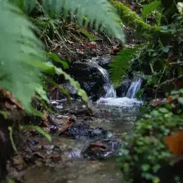 Vallée du Cens