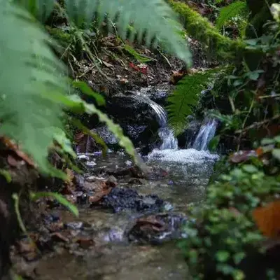 Vallée du Cens