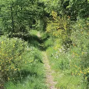 Escapade à Thann et le vallon du Grumbach