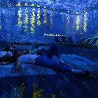 Van Gogh à Strasbourg – L’exposition immersive DR