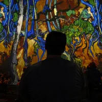 Van Gogh à Strasbourg – L’exposition immersive DR