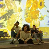 Van Gogh à Strasbourg – L’exposition immersive DR