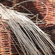 Vannerie Sauvage 5 Séances